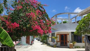 A residential area with a curved building, a concrete pathway, and a large flowering tree. - Beach Heaven Maldives - Golden Turtle Guest House (Huraa)