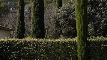 A garden with a white sofa set, a round coffee table, and tall cypress trees.