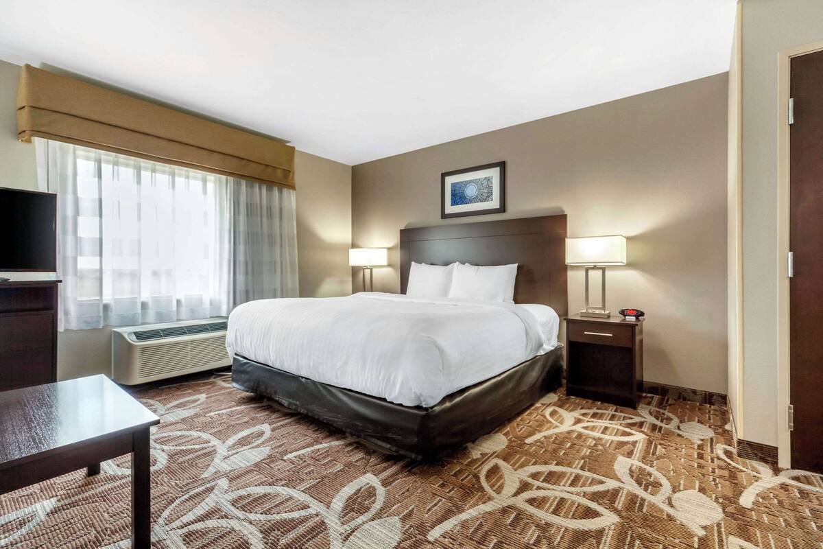 suite, 1 king bed with sofa bed, non smoking | 1 bedroom, premium bedding, down duvets, pillow-top beds