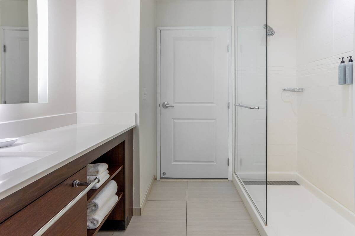 shower, free toiletries, hair dryer, towels