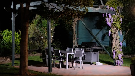 BBQ/picnic area