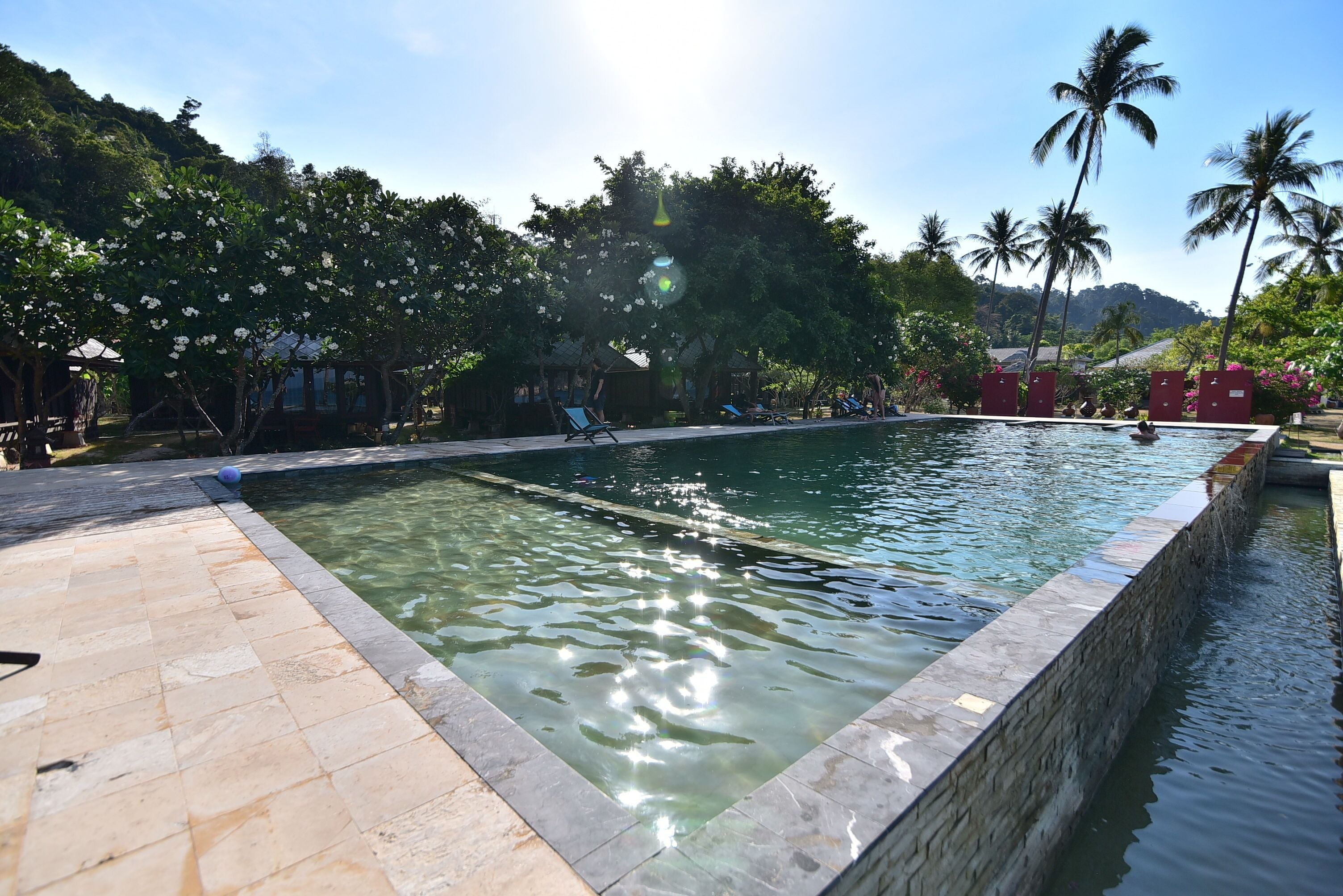 Una piscina con agua cristalina, rodeada de palmeras y un patio con baldosas.