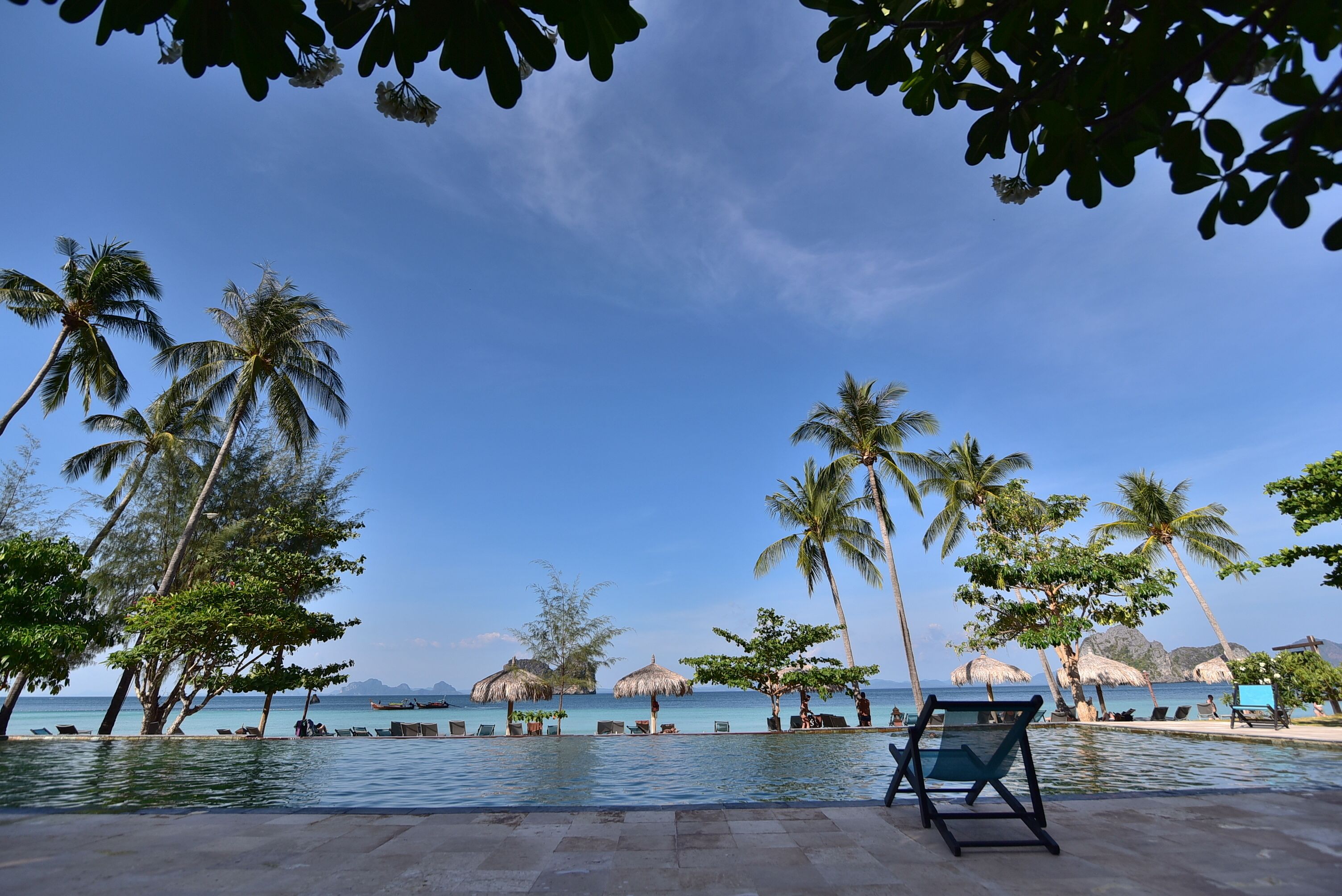 Zona junto a la piscina con sillones de descanso, palmeras y vista al océano.