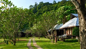 A pathway leading to a row of wooden cabins with metal roofs, surrounded by lush greenery and trees.