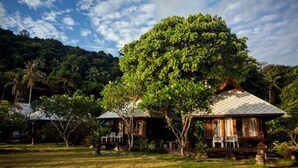 A rustic wooden house with a thatched roof, surrounded by lush greenery and trees.