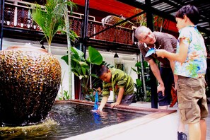Fountain - Ganesha House (Chiang Mai)