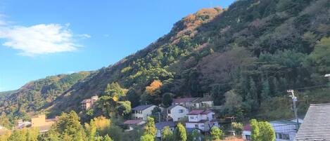 Un barrio residencial con casas en una ladera, rodeado de árboles y un cielo despejado.