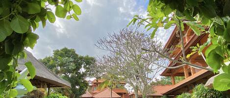A traditional building with a thatched roof, surrounded by lush greenery and a clear sky.