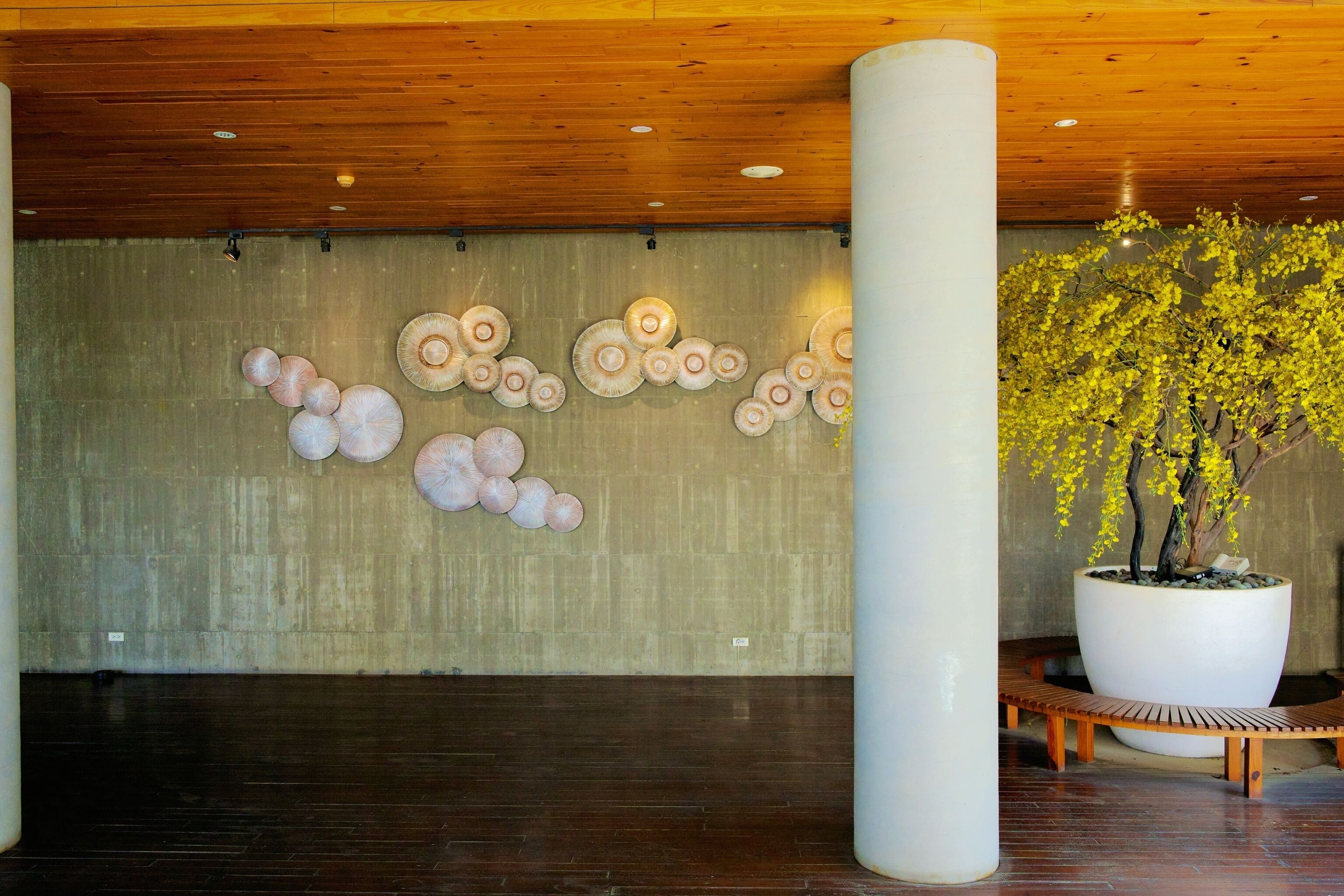 A lobby with a concrete wall, wooden ceiling, and a large potted tree.