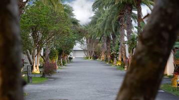 Un sendero bordeado de palmeras y vegetación, que conduce a un edificio de techo plano.