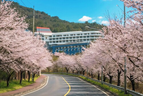 Tongyeong Dongwon Resort & Youth Hostel