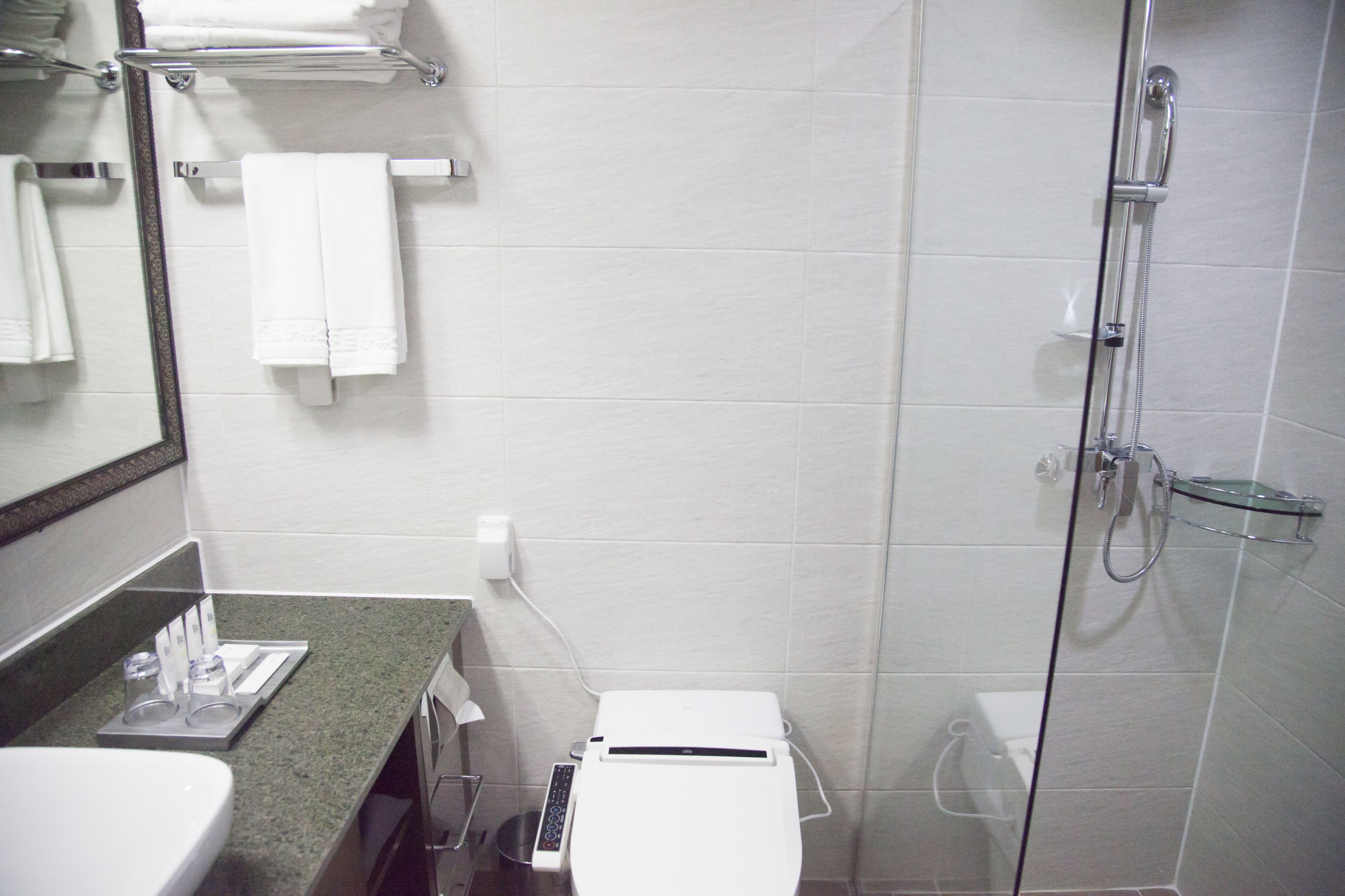 shower, free toiletries, hair dryer, bidet