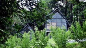 Two modern, glass-roofed cabins surrounded by dense greenery. - The Country House (Galle)