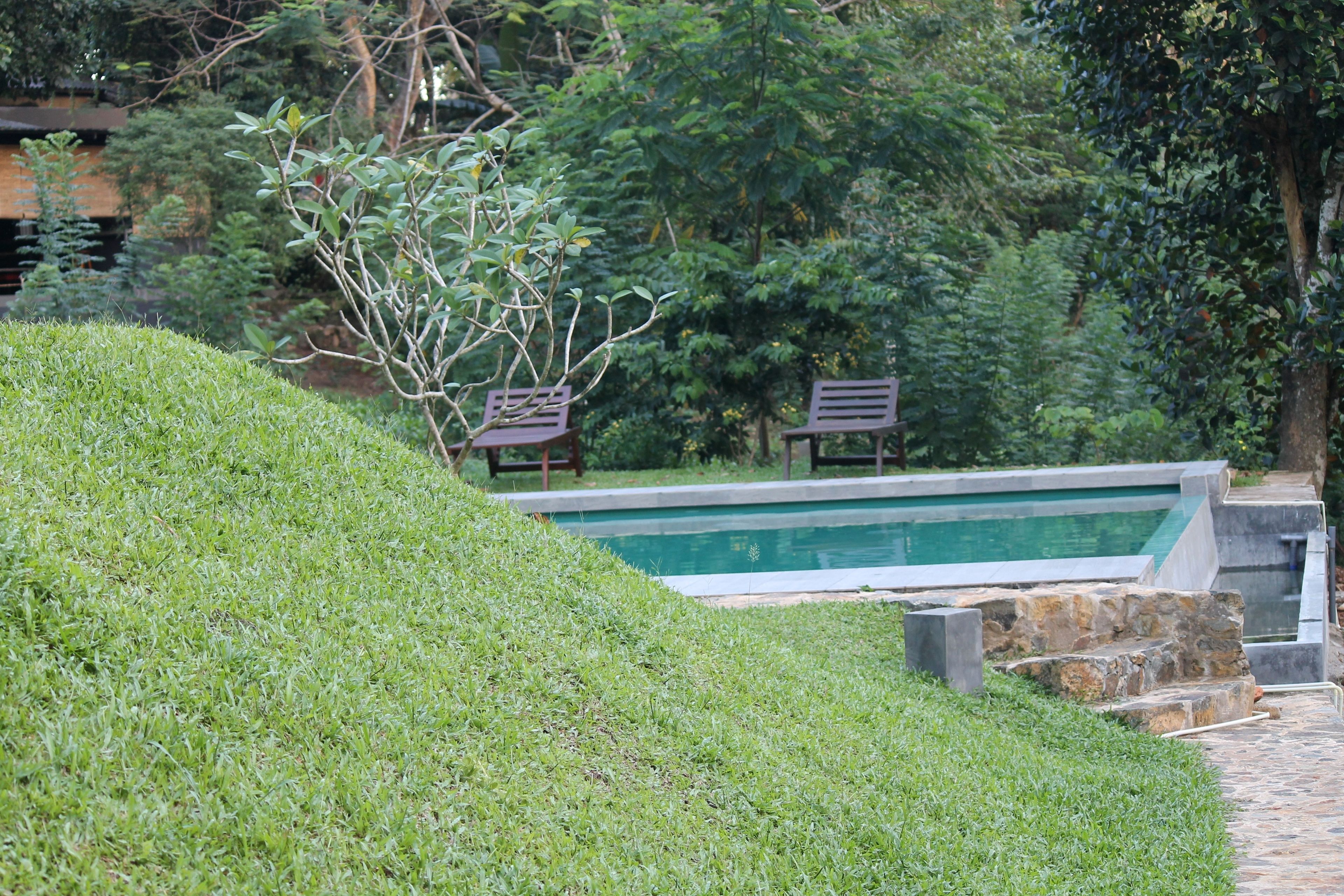 A landscaped area with a swimming pool, stone steps, and two benches.