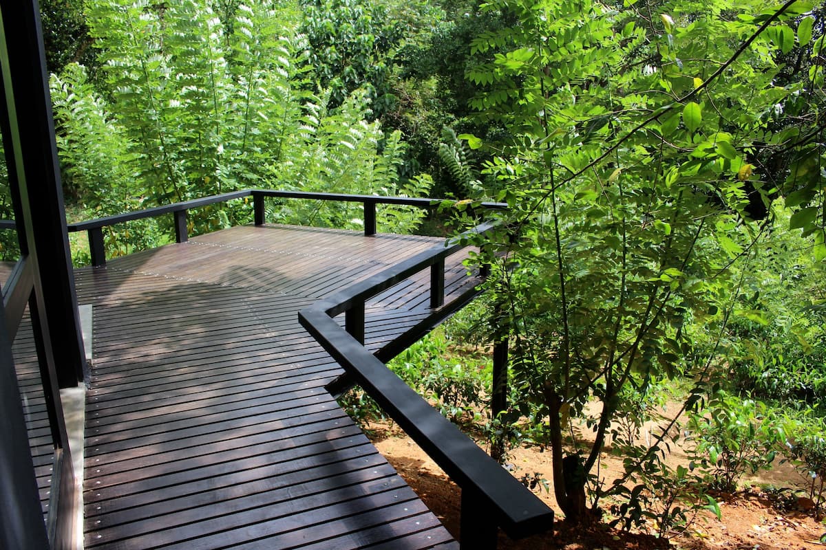 A wooden deck with a black railing, surrounded by dense green foliage.