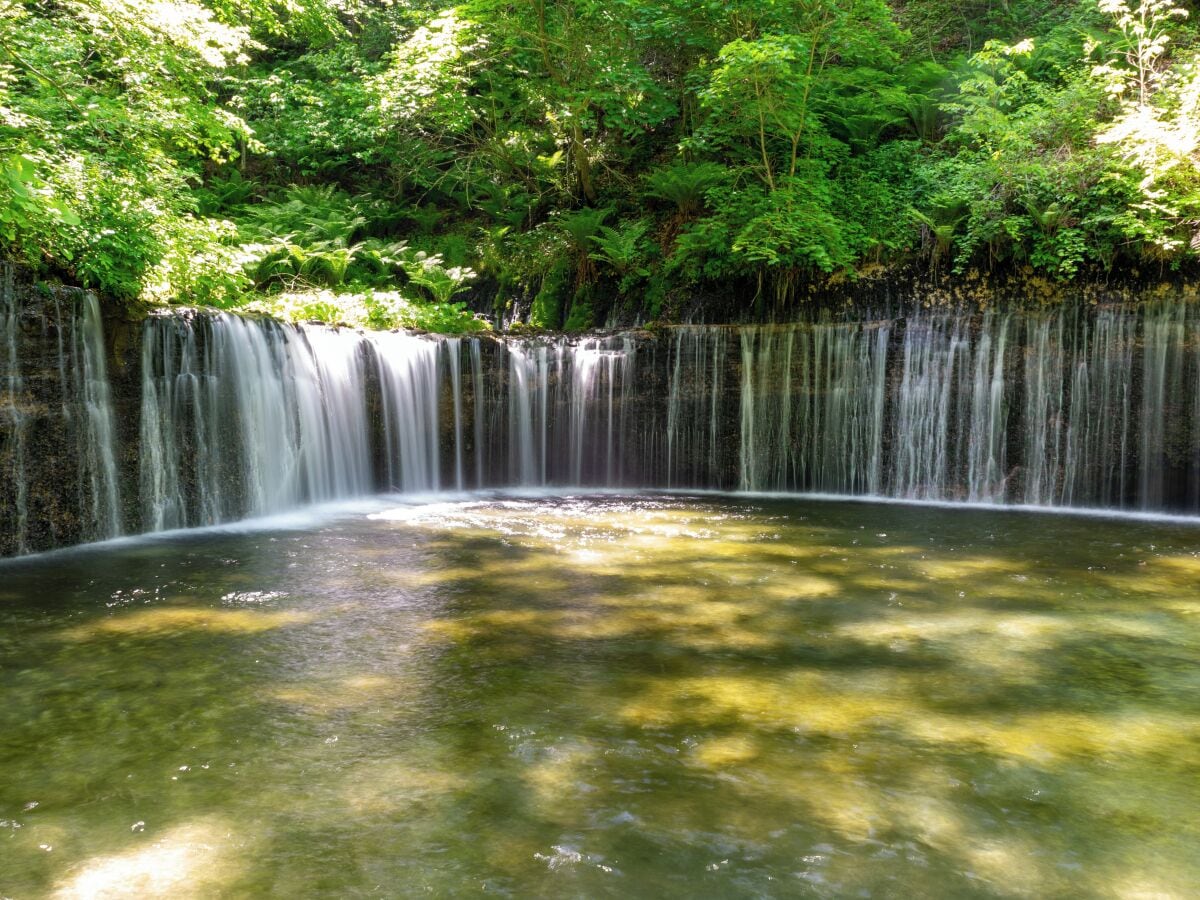 A waterfall cascading into a pool surrounded by dense greenery.