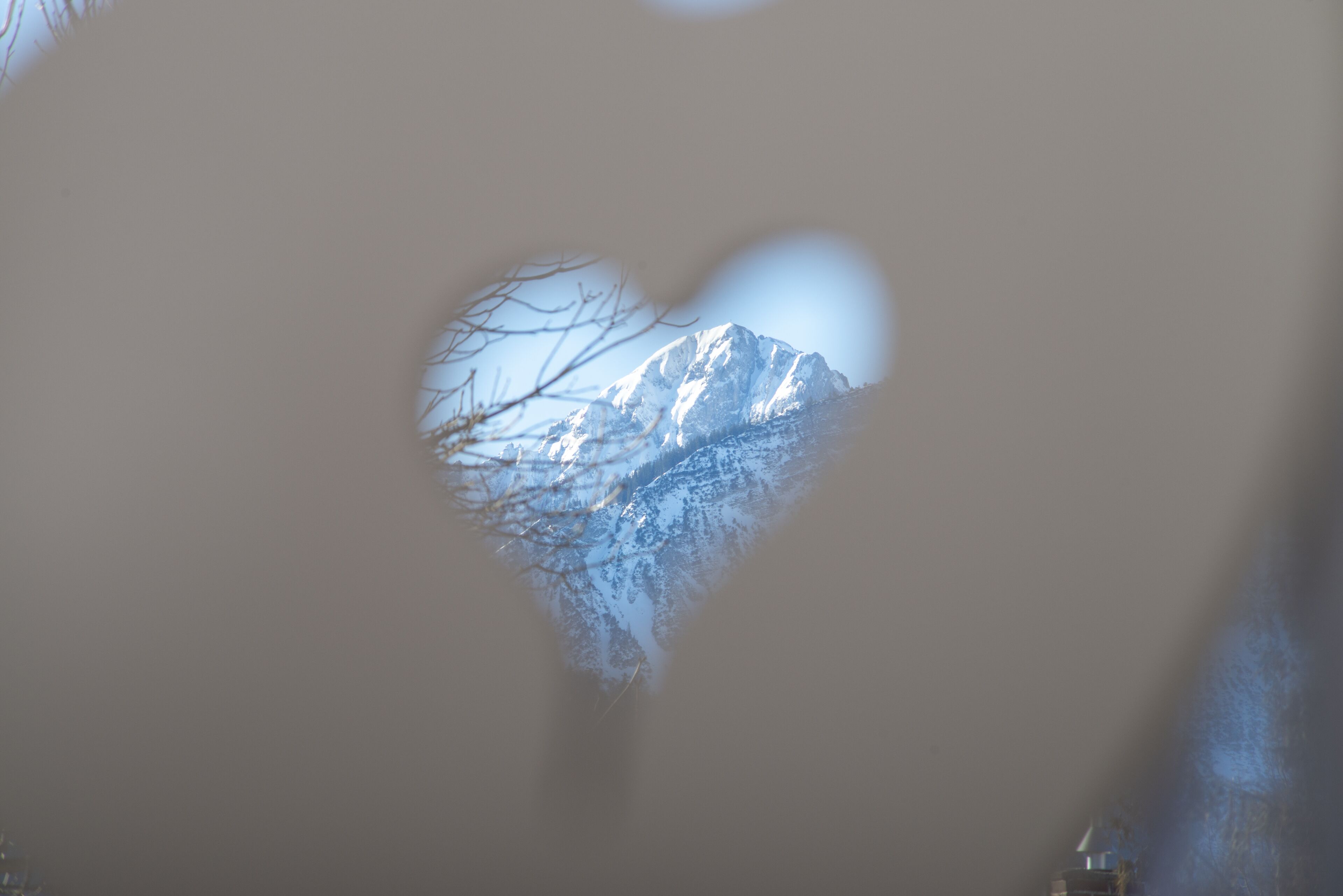 comfort single room, 1 single bed | 1 bedroom, hypo-allergenic bedding, iron/ironing board, free wifi