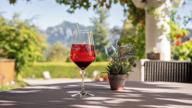 A glass of red wine on an outdoor table with a potted plant and a view of mountains in the background. - Hotel Filser (Fuessen)