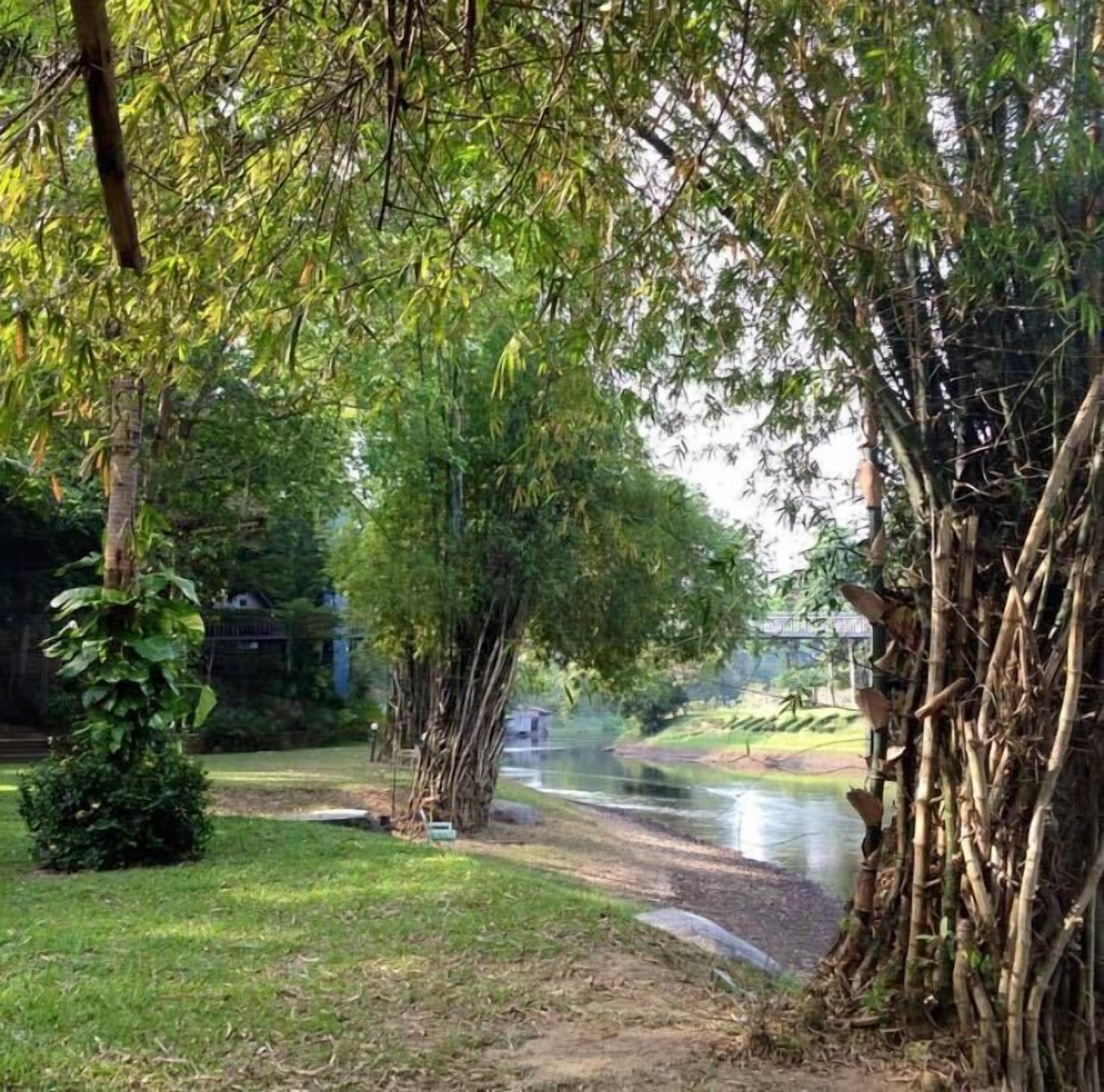 A pathway leading through a lush garden with a variety of trees and a small body of water.