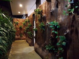 Pared de madera con plantas trepadoras, un sendero de concreto e iluminación empotrada en el techo.