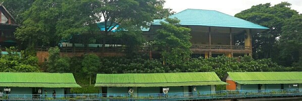A building with a green roof and multiple rooms with green roofs, surrounded by lush greenery.