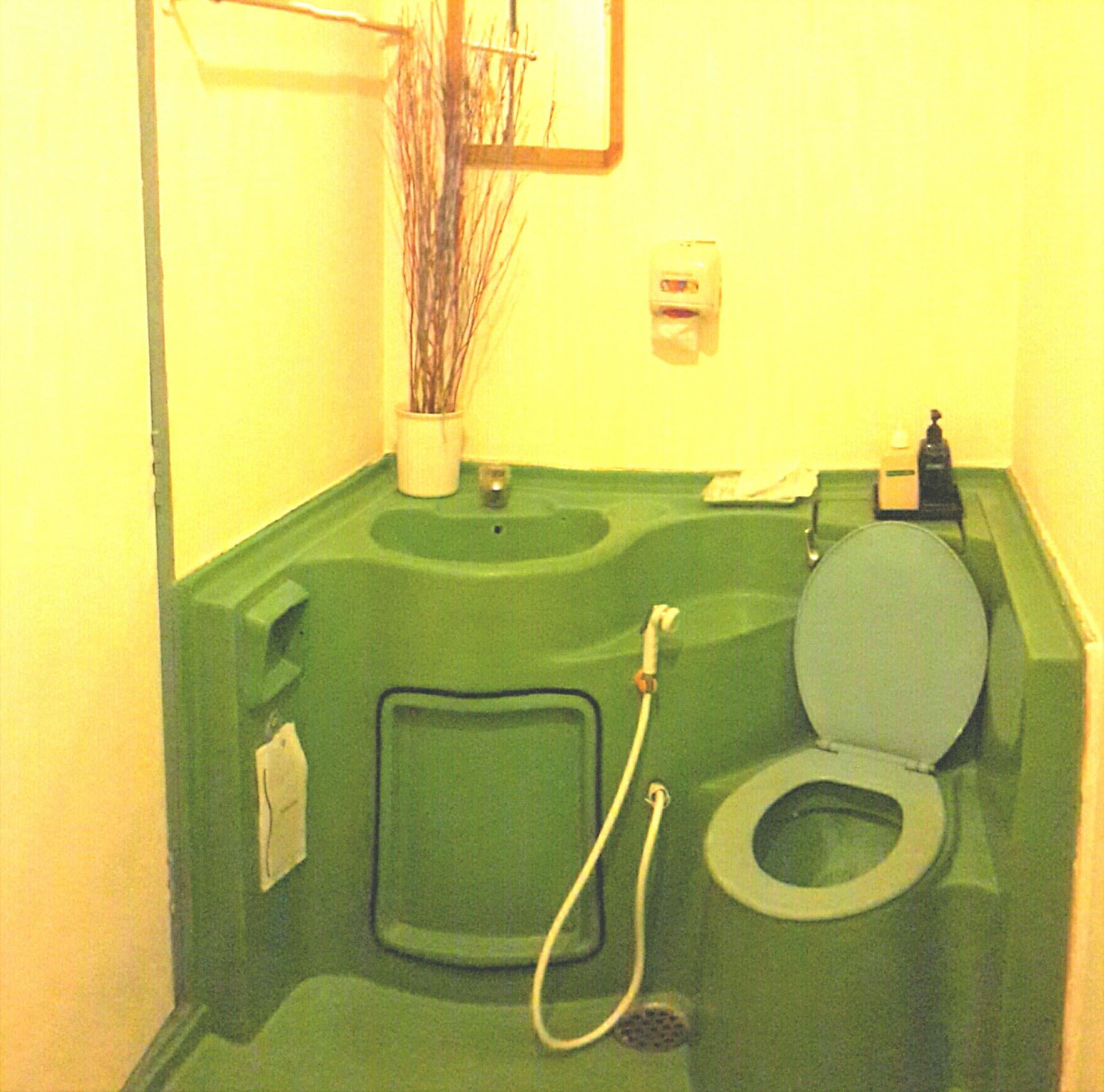 Un baño pequeño y verde con inodoro, lavabo y ducha.