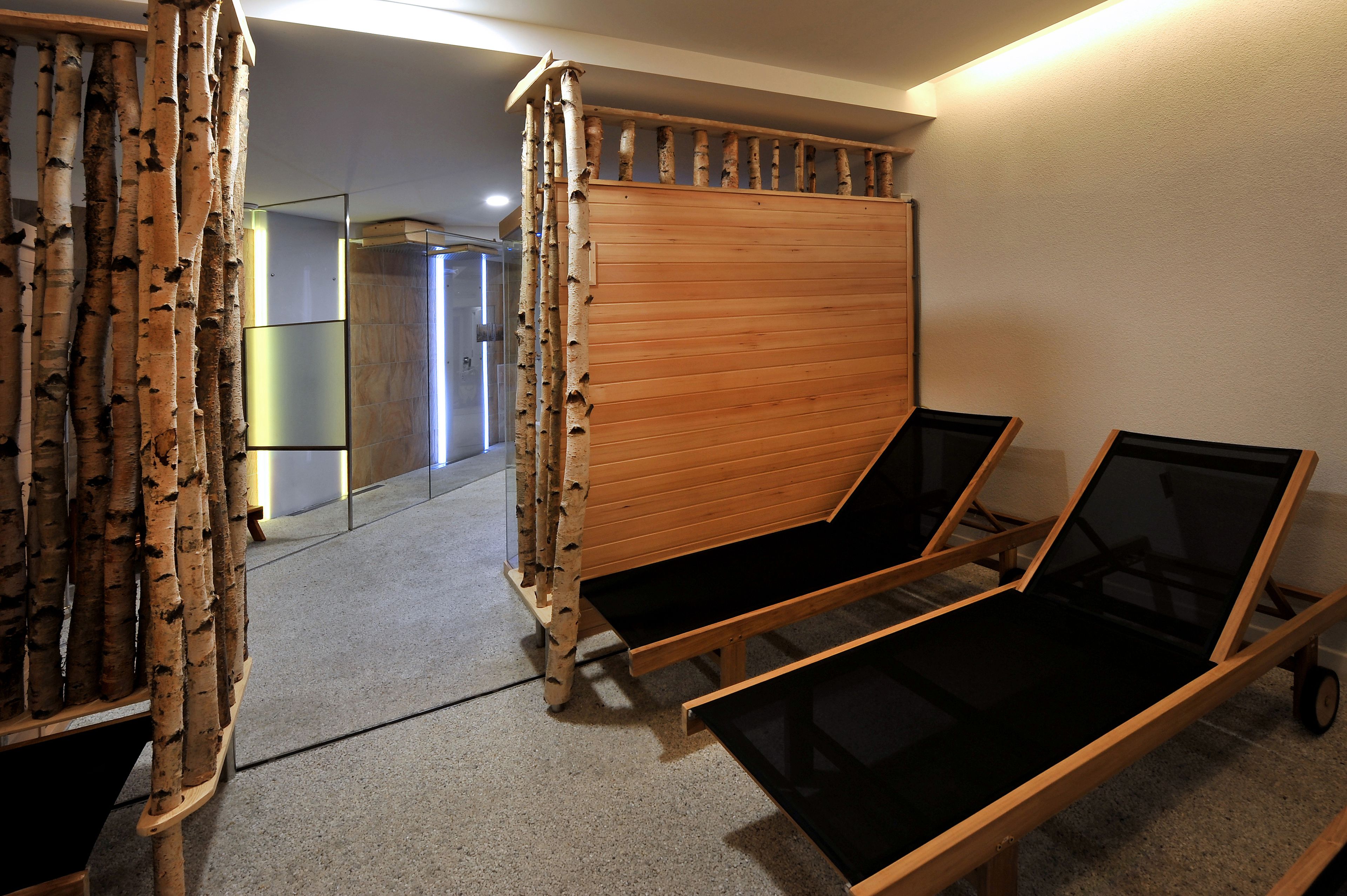 Habitación con separador de corteza de abedul, cabina de ducha de vidrio y dos camas con marco negro.