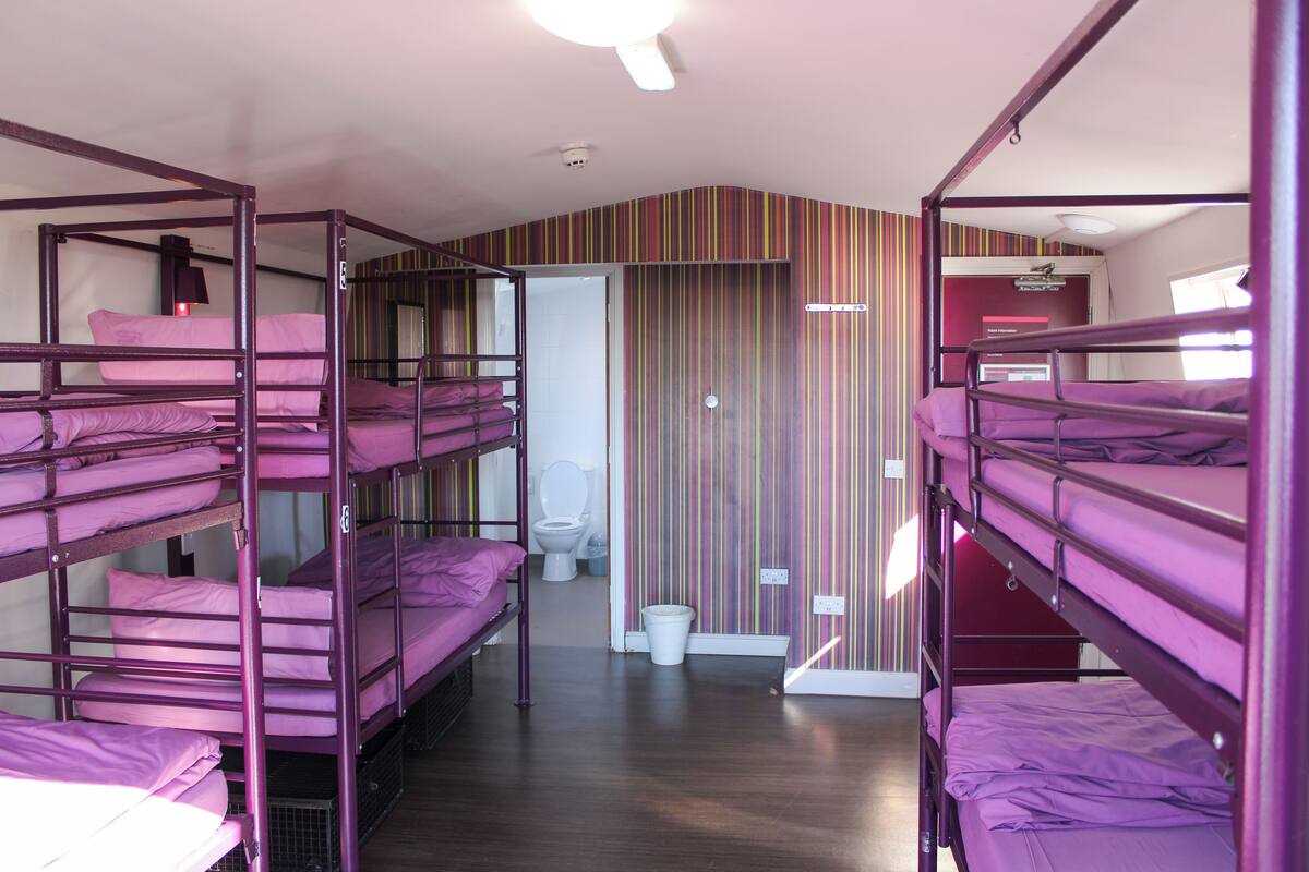 A dormitory room with bunk beds, a toilet, and a striped wall.