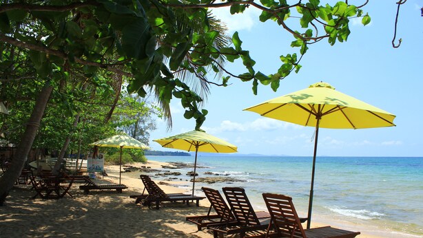 A beach with wooden lounge chairs and yellow umbrellas under trees. - Vung Bau Resort (Phu Quoc)