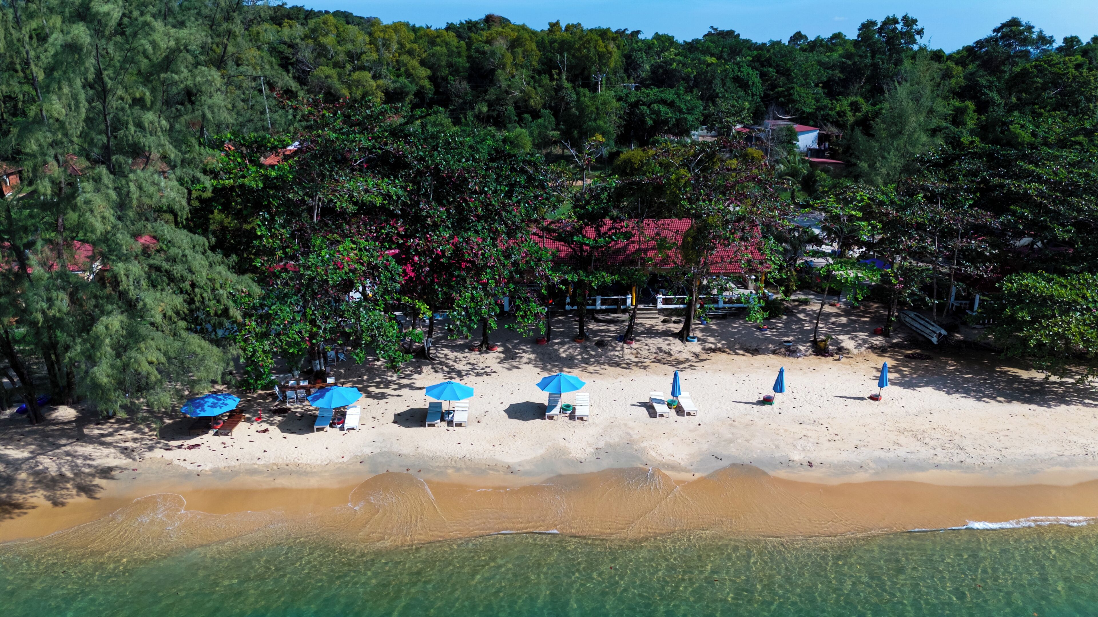 Une plage avec une eau claire, des arbres et des parasols.