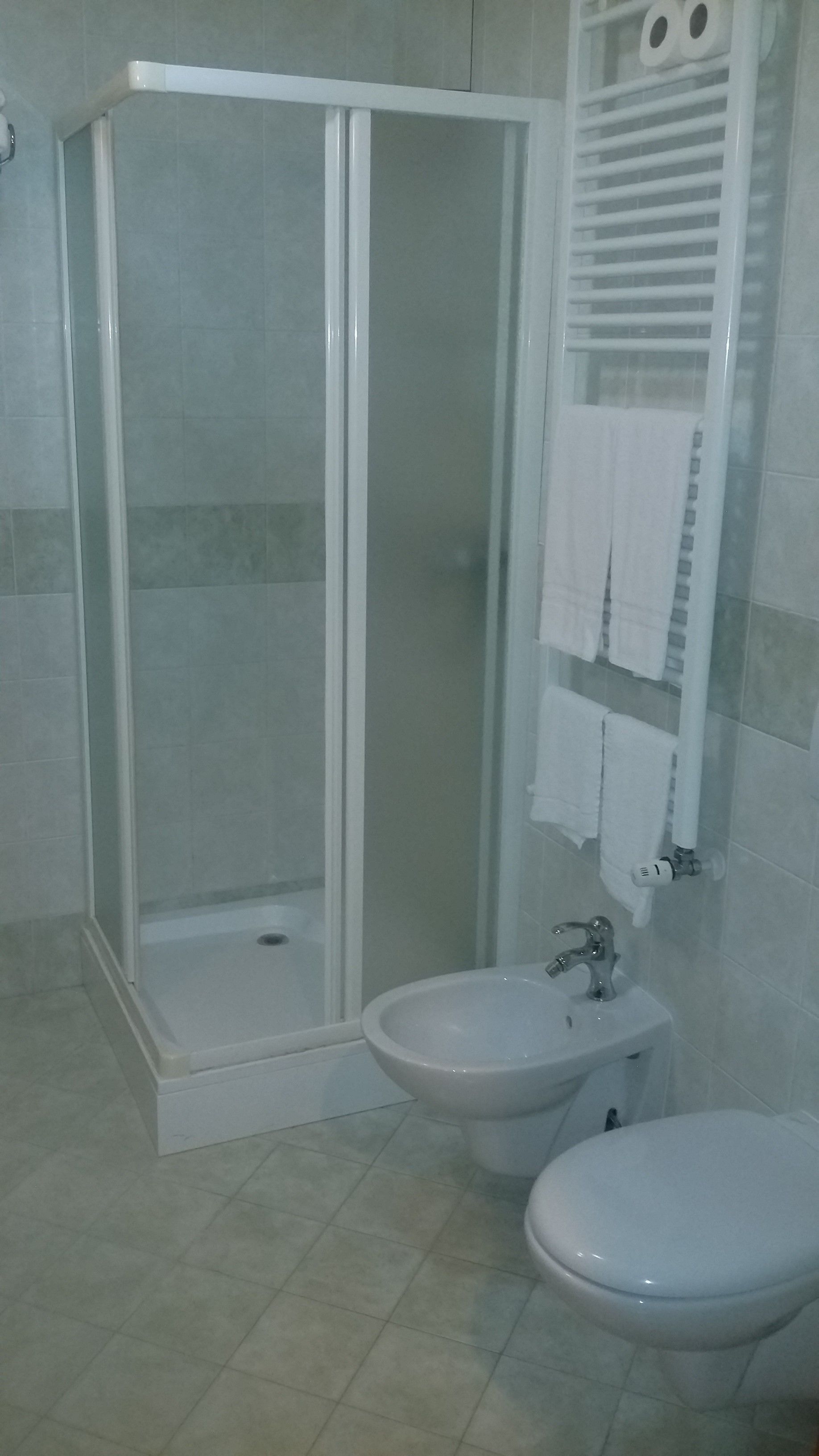 shower, rainfall showerhead, bidet