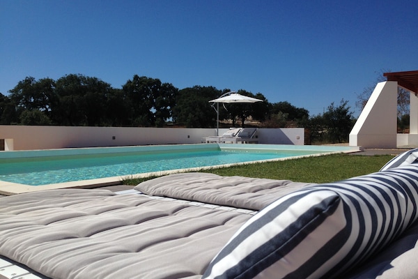 Outdoor pool, sun loungers