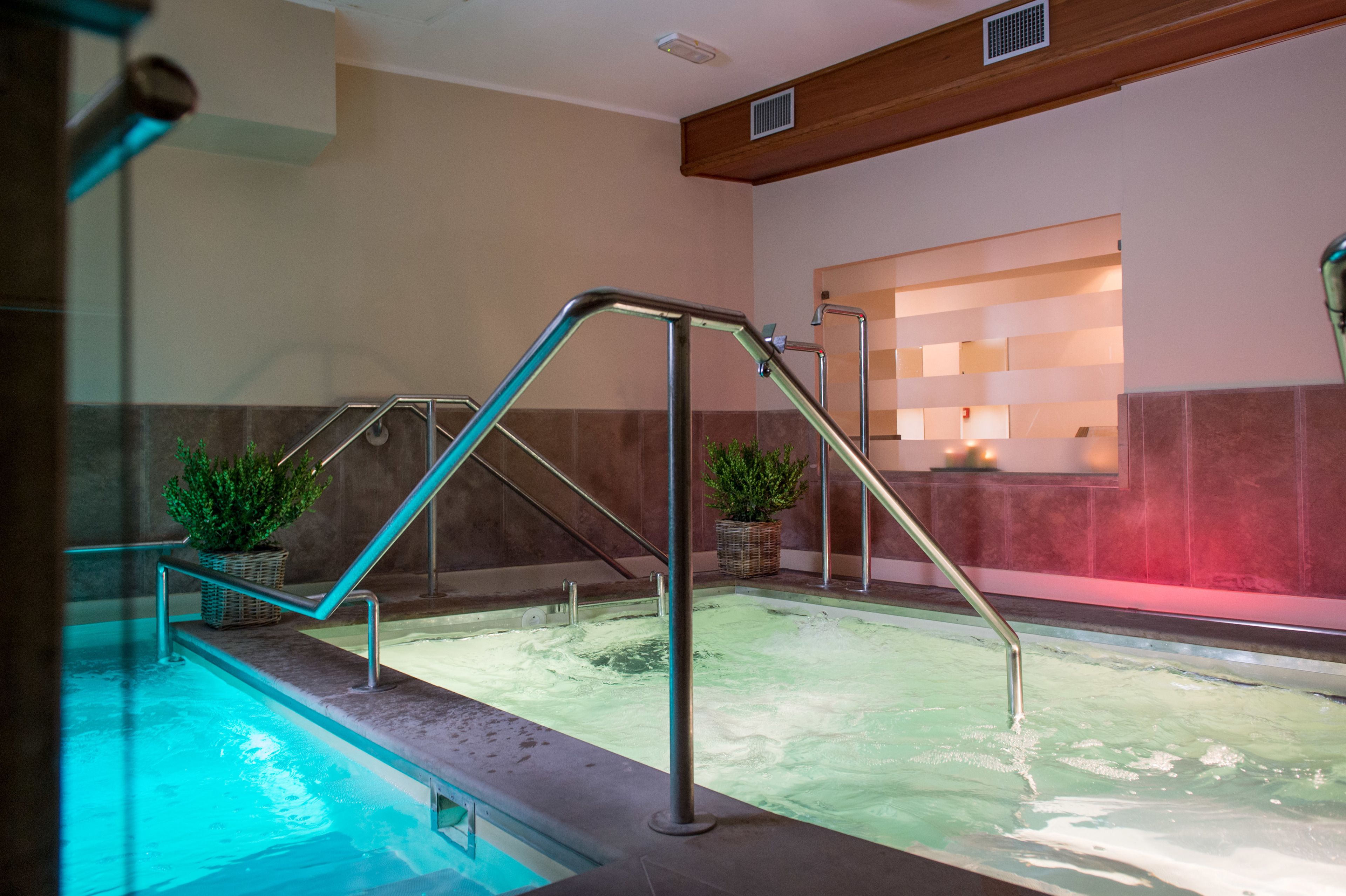 Ein Wellnessbereich mit Whirlpool, Metallgeländern und Blumentöpfen.
