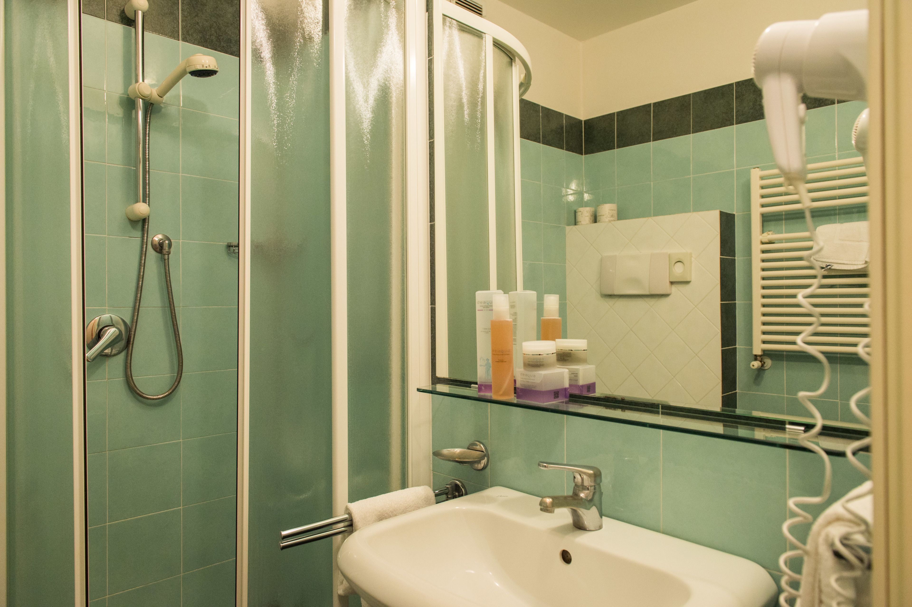 hair dryer, bidet, towels