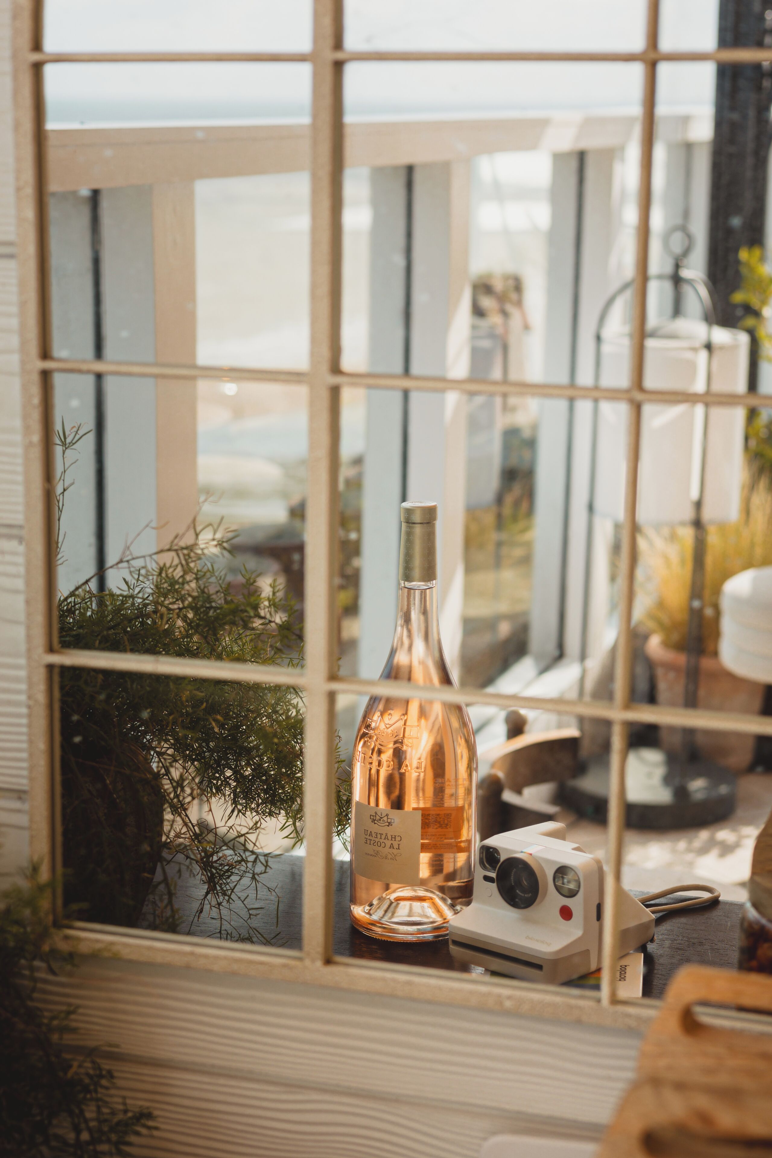 A bottle of wine and a vintage camera on a table near a window with a view of greenery and a building.