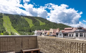 公寓式客房 (Platinum with 2 Bath) | 住宿服务设施