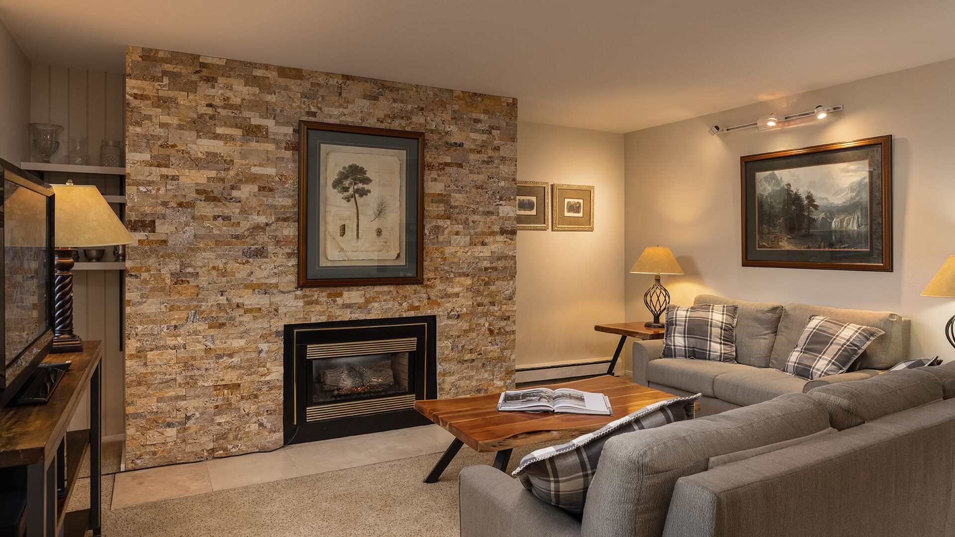 Condo, Fireplace (Vantage Point 206) | Living area