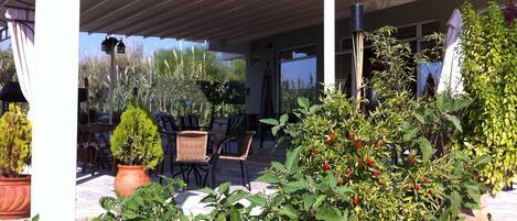 Un patio al aire libre con zona de estar cubierta, plantas en macetas y vistas del paisaje circundante.