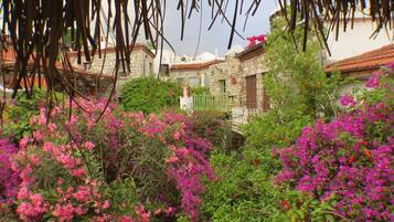 Family House, 1 Bedroom, Sea View | Terrace/patio