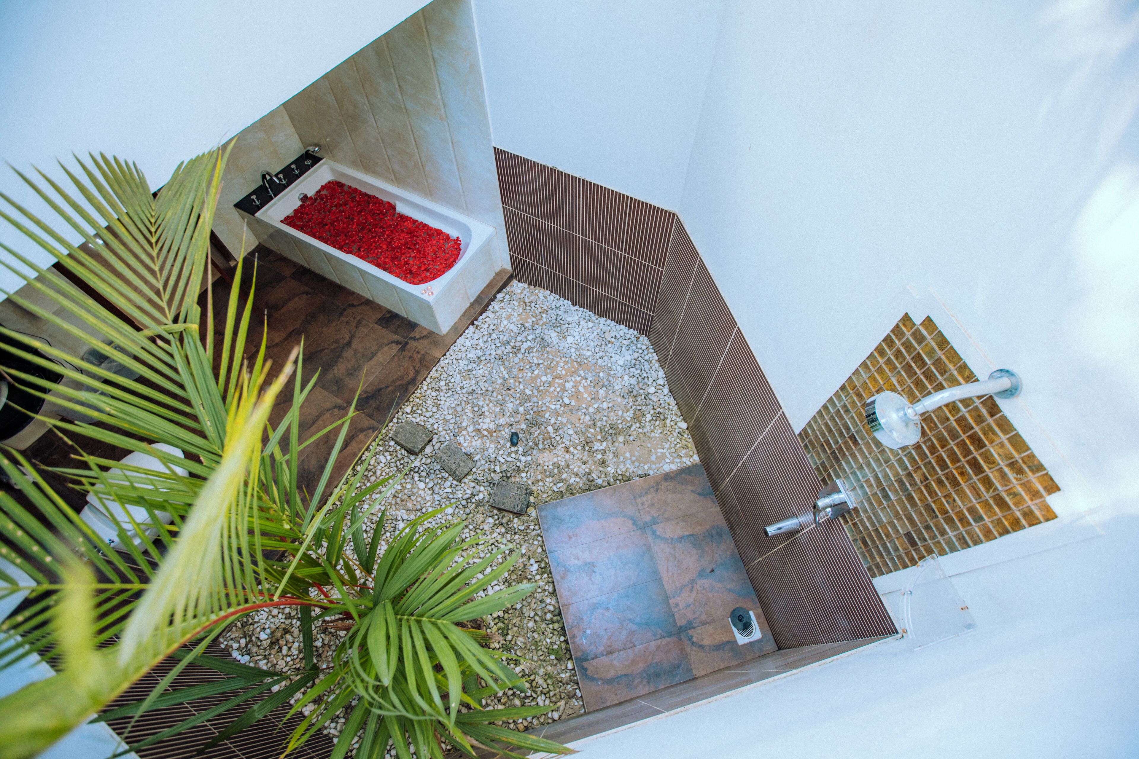Un baño con suelo de guijarros, una planta pequeña, un arreglo floral rojo y una zona de ducha.