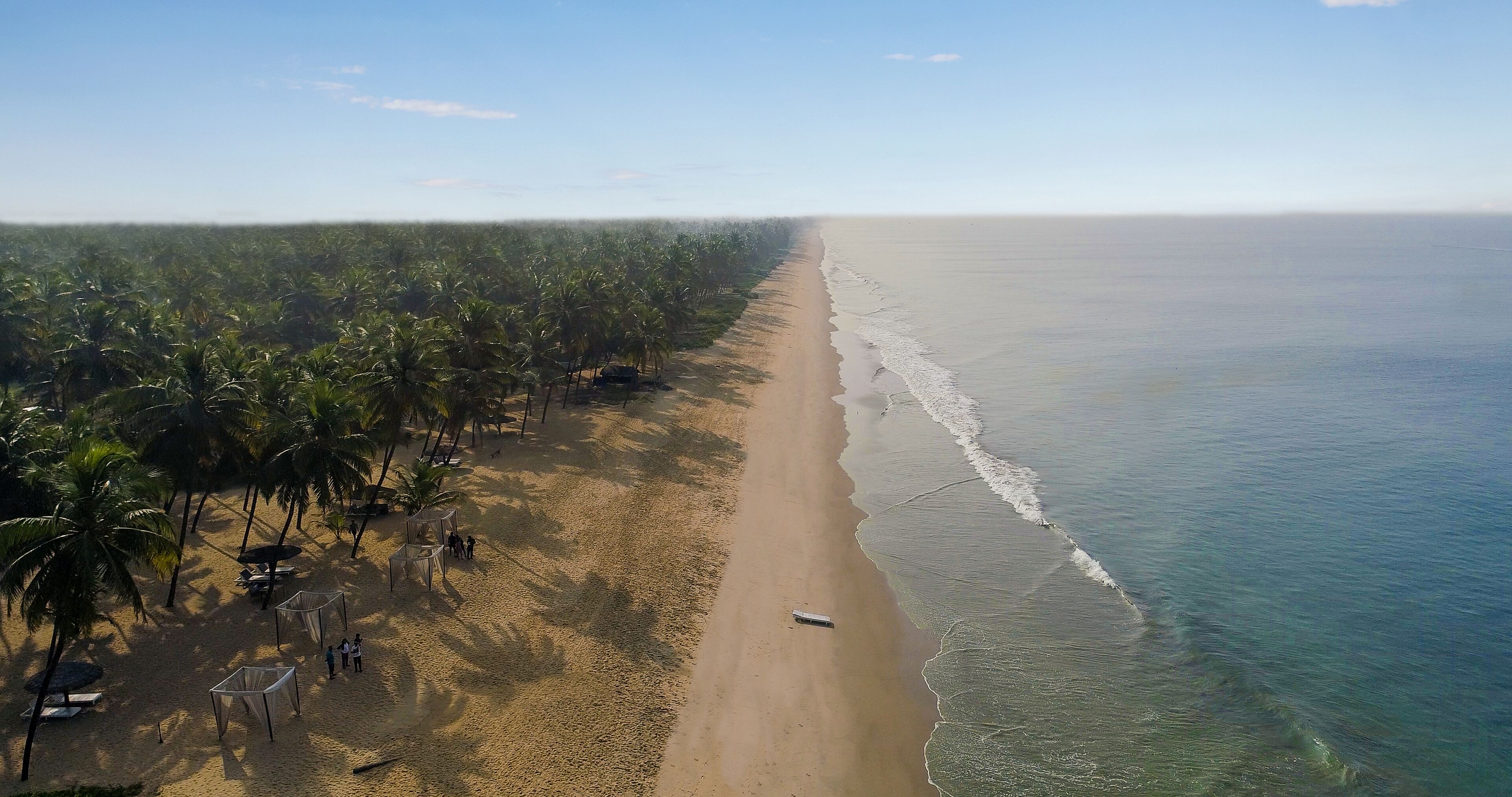 An aerial view of a beach with a row of palm trees and a sandy path leading to the water.