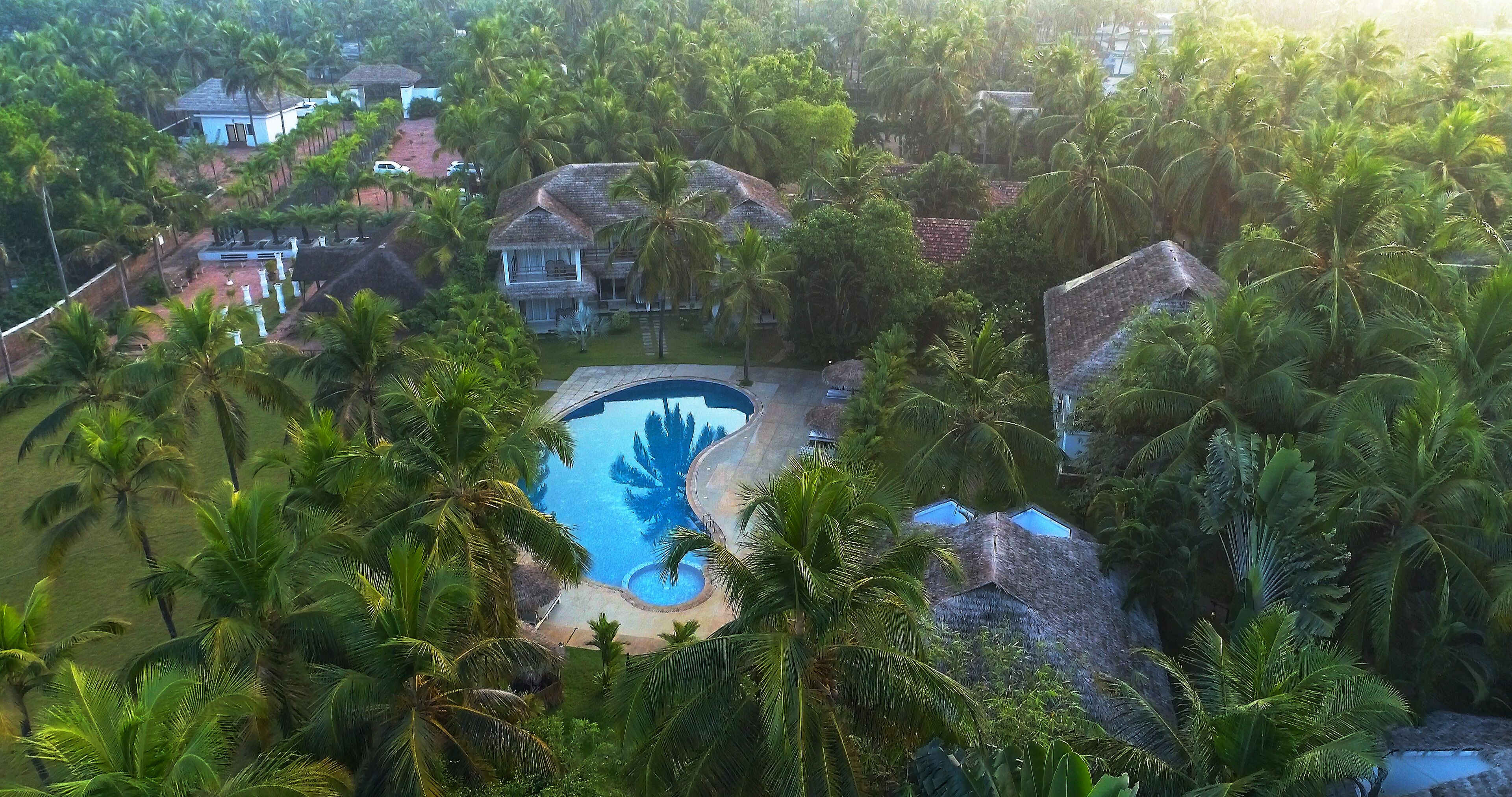 A tropical resort with a swimming pool surrounded by palm trees and thatched-roof buildings.