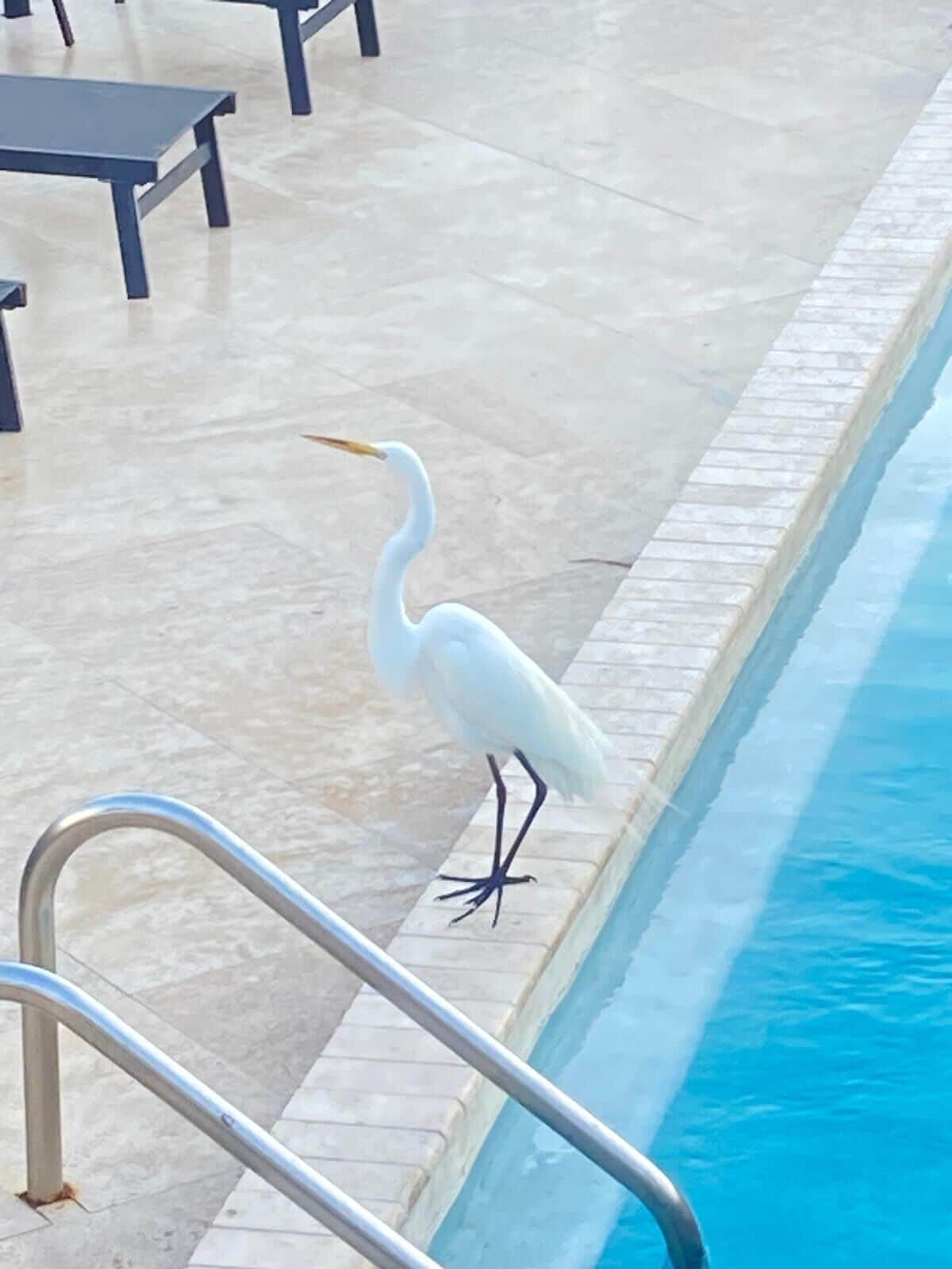 Photo - Holiday Isles Resort