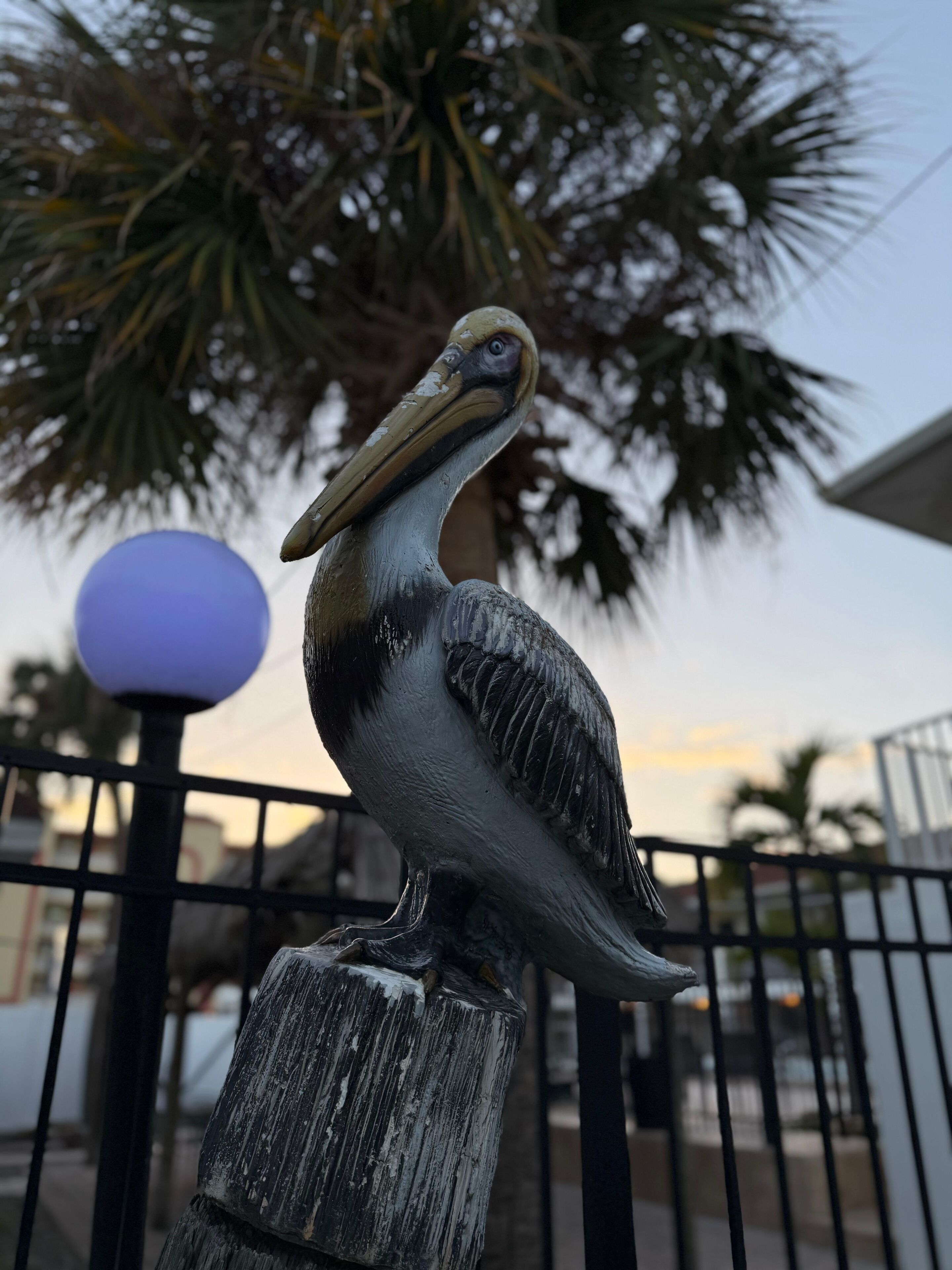 A sculpture of a pelican on a metal fence with a palm tree and a lamp post in the background.