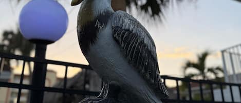 A sculpture of a pelican on a metal fence with a palm tree and a lamp post in the background.