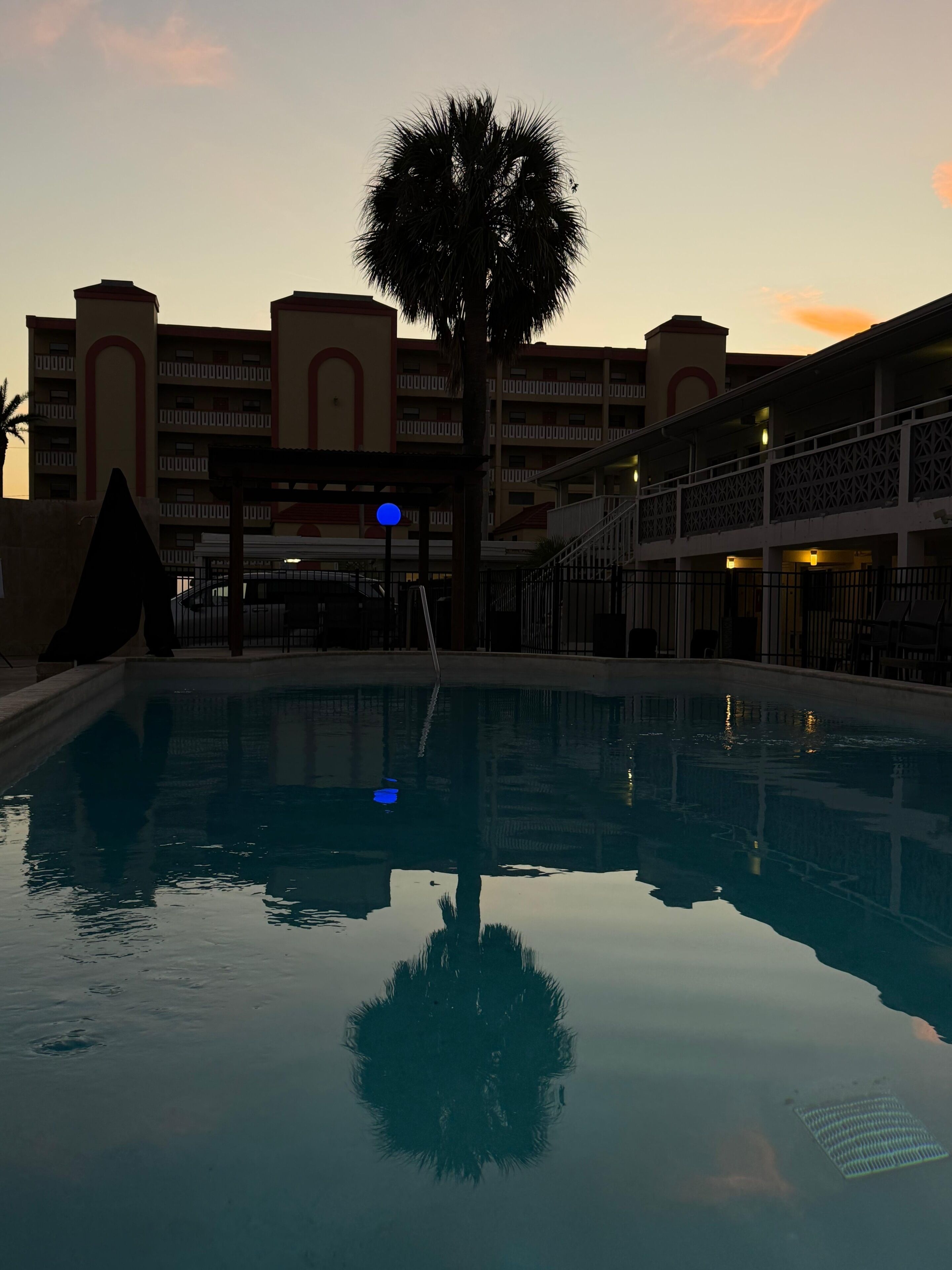 A swimming pool with a palm tree and a building with balconies in the background.
