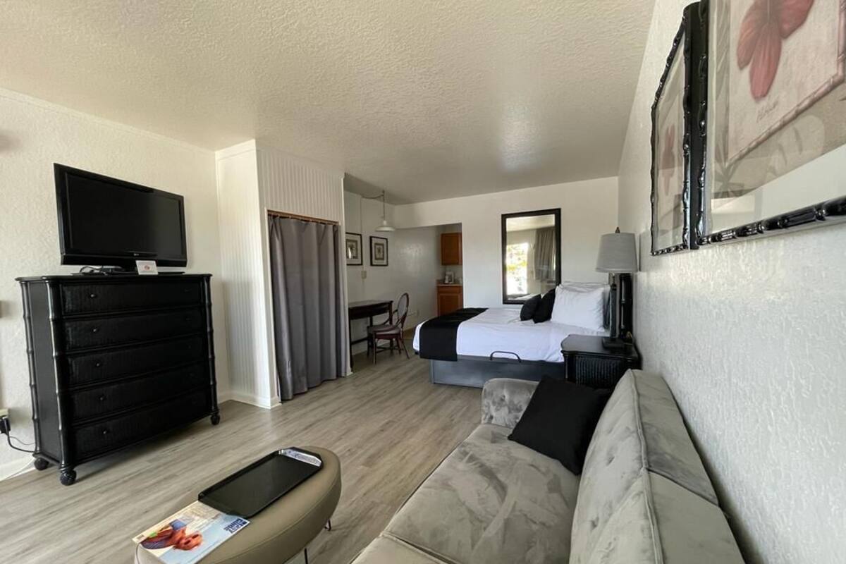 Ett hotellrum med en soffa, en tv, ett skrivbord och en säng.