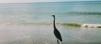 ฮอลิเดย์ไอลส์รีสอร์ท