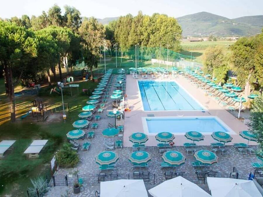 Seasonal outdoor pool, sun loungers