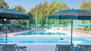 Seasonal outdoor pool, sun loungers